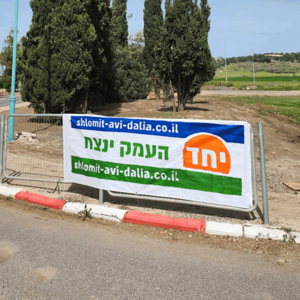 דוגמה להדפסת פלריג - תמונה 2